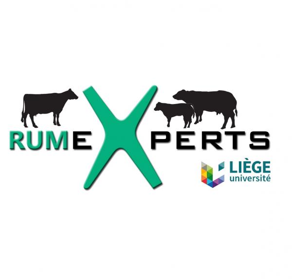 RumeXperts 